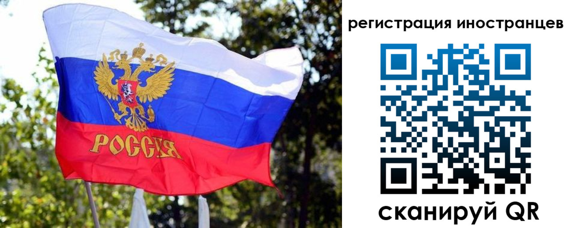 временная регистрация недорого в Североморске